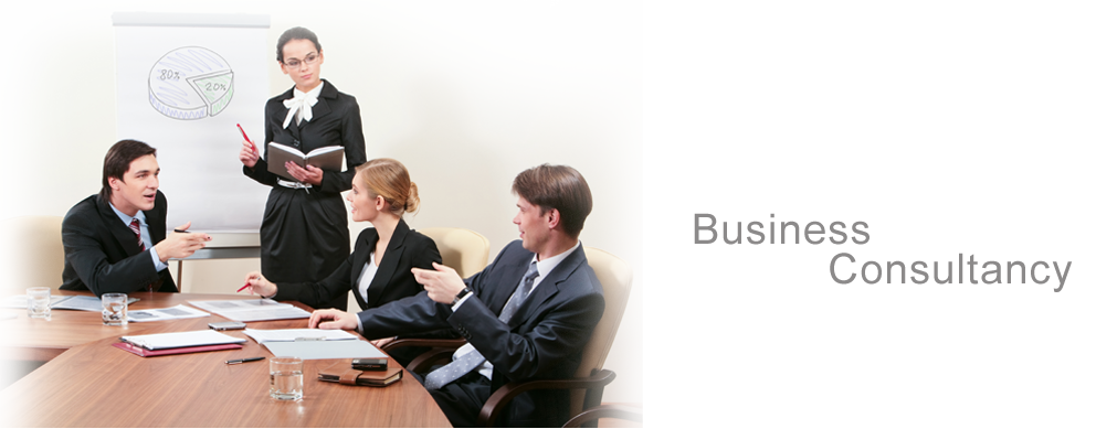 business-consultancy-texas